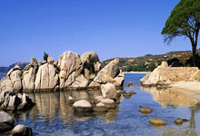 98号汽油助力养生之旅，畅游广州美景